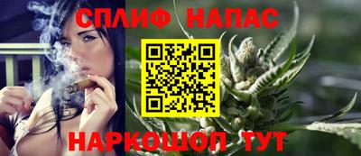 индика Лесосибирск