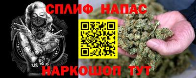 индика Лесосибирск