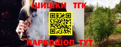 индика Лесосибирск