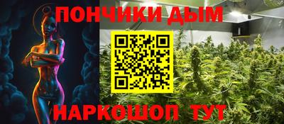 индика Лесосибирск