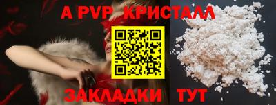 индика Лесосибирск