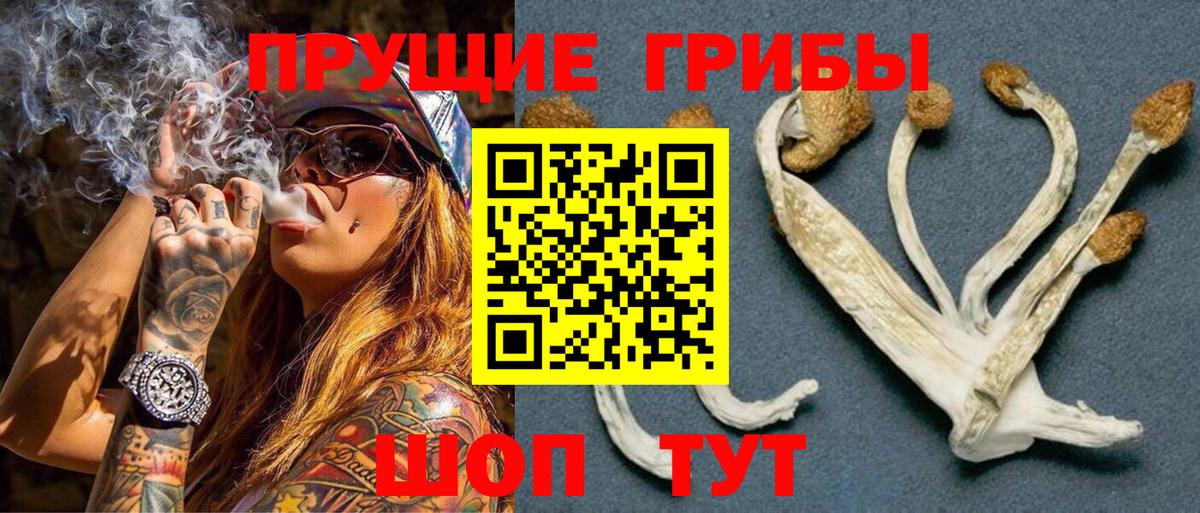 где купить наркотик  Псилоцибиновые грибы Magic Shrooms  Вход с VPN  Воронеж 